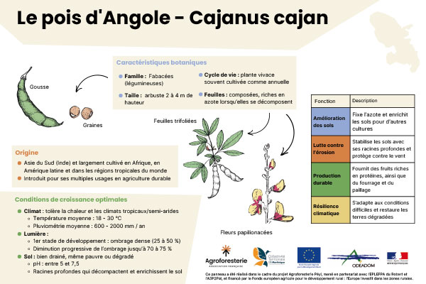 Expérimentation Madin SAF - Panneau POIS D'ANGOLE