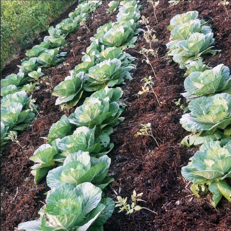 exploitation agricole