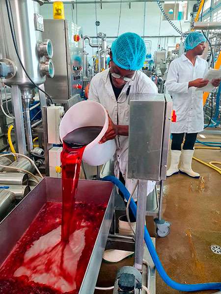 BAC PRO - Produits de l’Industrie Pharmaceutique, Alimentaire et Cosmétique