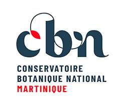 Conservatoire National Martinique