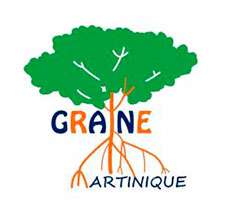Graine Martinique