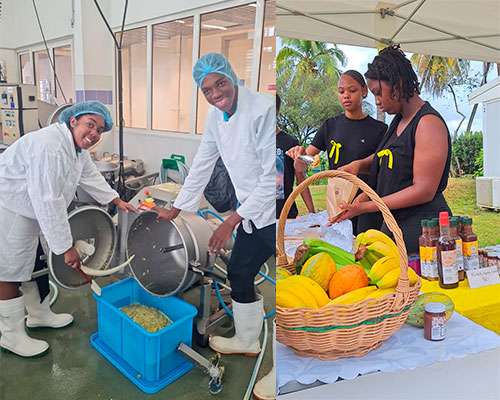 La vie au lycée du Robert en Martinique